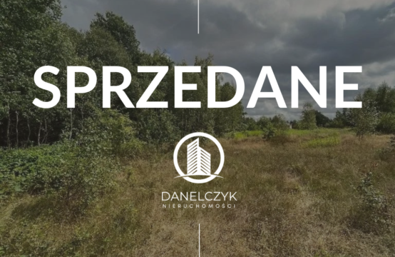 Prażmów Działka budowlana z dopuszczeniem usług